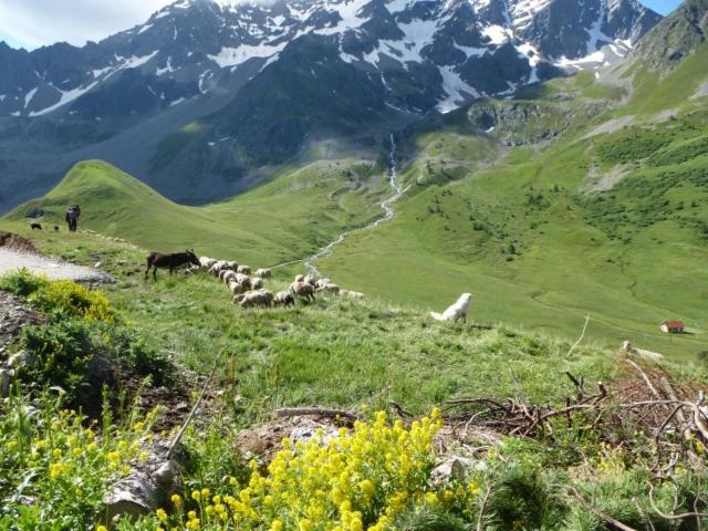 Appartement A La Montagne A La Meije Blanche Villar-d'Arene Bagian luar foto